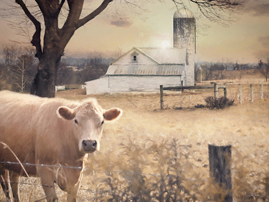 Lori Deiter LD3704 - LD3704 - Country Morning Cow - 16x12 Photography, Fall, Farm, Barn, White Barn, Silo,  Landscape, Cow, Field, Fence, Trees from Penny Lane