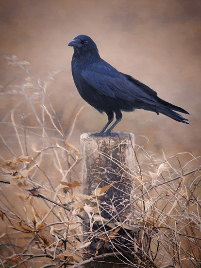 Lori Deiter LD3716 - LD3716 - Silent Watch - 12x16 Photography, Crow, Fence Post, Fence, Leaves, Fall, Silent Watch from Penny Lane