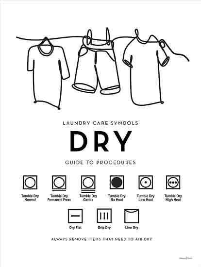 lettered & lined LET911 - LET911 - Dry Guide to Procedures - 12x16 Laundry, Laundry Room, Dry Guide to Procedures, Typography, Signs, Textual Art, Clothesline, Clothes, Laundry Rules, Laundry Care Symbols, Black & White from Penny Lane