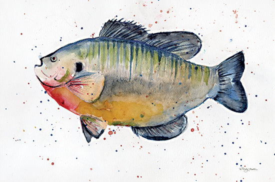 Molly Mattin MAT197 - MAT197 - Freshwater Sunfish - 18x12 Coastal, Fish, Freshwater Sunfish, Watercolor from Penny Lane