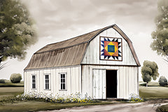 MAZ5996 - Quaint Barn - 18x12