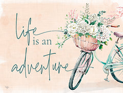 MOL2616 - Life is an Adventure - 16x12