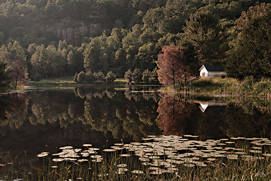 Martin Podt MPP1033 - MPP1033 - Cabin at the Lake - 18x12 Photography, Landscape, Lake, Cabin, Trees, Forest, Woods, Lilypads, Reflection from Penny Lane