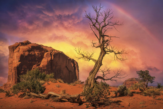 Martin Podt MPP1149 - MPP1149 - Monument Valley Dreams - 18x12 Photography, Monument Valley, Utah, Rocks, Trees, Rainbow, Storm Clouds  from Penny Lane