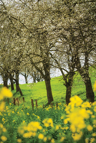 Martin Podt MPP1154 - MPP1154 - Spring in Bloom - 12x18 Photography, Trees, Spring, Wildflowers, Yellow Wildflowers, Blossoming Trees, Grass, Landscape from Penny Lane