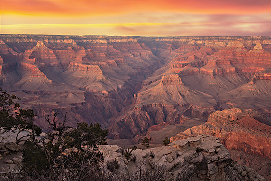 Martin Podt MPP996 - MPP996 - Colors of the Grand Canyon I - 18x12 Photography, Landscape, Grand Canyon, Canyon, Sunlight, Rocks, Trees, Travel from Penny Lane