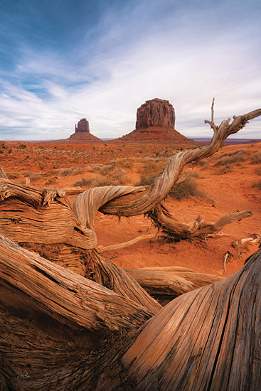 Martin Podt MPP999 - MPP999 - Weathered Wood at Monument Valley - 12x18 Photography, Landscape, Monument Valley, National Park, Arizona, Weathered Wood, Twisted Trees, Rocks, Rock Formations from Penny Lane