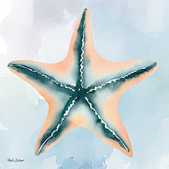 ND172 - High Tide Starfish - 12x12