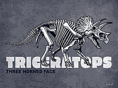 RAD1426 - Triceratops - 16x12