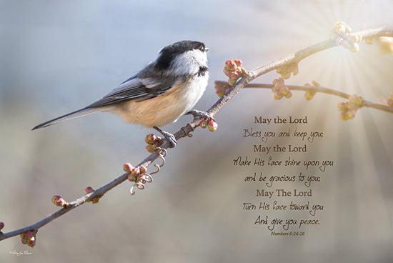 Robin-Lee Viera RLV700 - RLV700 - Bless You and Keep You - 18x12 Photography, Religious, May the Lord Bless You and Keep You, Numbers, Bible Verse, Typography, Signs, Textual Art, Bird, Tree Branch, Flower Buds, Sunlight from Penny Lane