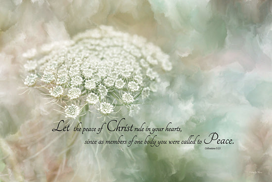 Robin-Lee Viera RLV711 - RLV711 - The Peace of Christ - 18x12 Photography, Religious, Let the Peace of Christ Rule in Your Hearts, Colossians, Typography, Signs, Textual Art, Flower, White Flower from Penny Lane