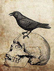 SB1247LIC - Skull Crow - 0