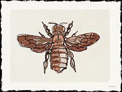 SDS1455 - Bee Sketch 2 - 16x12