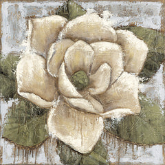 SGD209 - Majestic Magnolia - 12x12