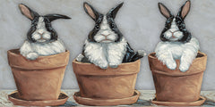 SGD275 - Bunny Pots - 18x9