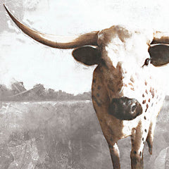 WL173A - Longhorn Luke    (A)  24x24 - 24x24