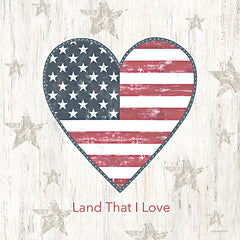ALP2848 - Land that I Love - 12x12