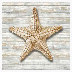 AS131 - Seashells I - 12x12