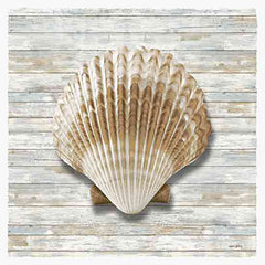 AS134 - Seashells IV - 12x12