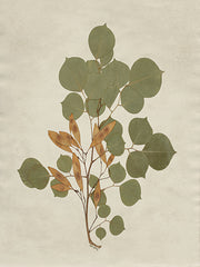 AS384 - Botanical Leaves 3 - 12x16