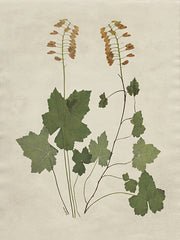 AS385 - Botanical Leaves 4 - 12x16