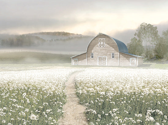 Amber Sterling AS387 - AS387 - Honey Ridge Farm - 16x12 farm landscape, barn in meadow, misty morning, wildflower field, daisies, soft light, country scene, path leading to barn, peaceful rural, modern farmhouse, neutral palette, atmospheric landscape from Penny Lane