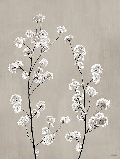 Amber Sterling AS419 - AS419 - Simple Times - 12x16 white blossoms, flowering branches, springtime nature, minimalist floral, neutral botanical art from Penny Lane