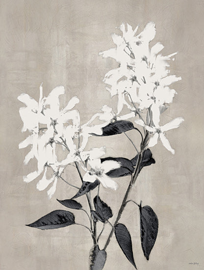 Amber Sterling AS421 - AS421 - Yesterday's Blooms - 12x16 delicate white blossoms, soft floral illustration, neutral background, botanical elegance, painterly art from Penny Lane