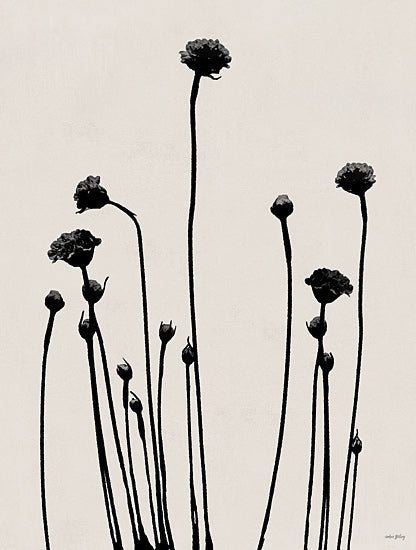 Amber Sterling AS422 - AS422 - Reaching Up - 12x16 minimalist floral silhouettes, black flowers, stark contrast, tall stems, modern botanical art from Penny Lane