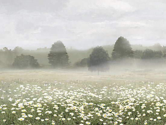 Amber Sterling AS494 - AS494 - Dancing Daisies - 16x12 misty meadow, field of white daisies, foggy morning, trees in background, soft light, dreamy landscape, nature, seasonal spring/summer feel, tranquil, airy, painterly from Penny Lane