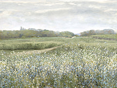 AS507 - Quiet Meadow Path - 16x12