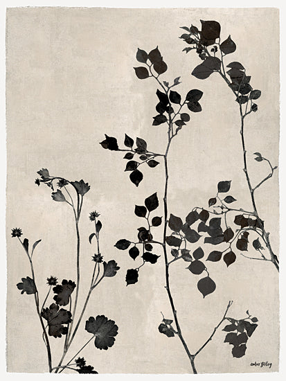 Amber Sterling AS515 - AS515 - Ink Garden II - 12x16 botanical silhouette, black leaves and stems, minimalist nature art, neutral background, moody decor, modern vintage style, black and white botanical, delicate plant shapes, crackle texture from Penny Lane