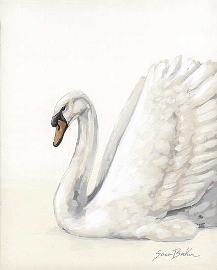 Sara Baker BAKE398 - BAKE398 - A Swan All Along 2 - 12x16 swan, white bird, elegance, feathers, portrait of swan, aquatic bird, peaceful, waterfowl, detailed painting, white background, graceful animal from Penny Lane