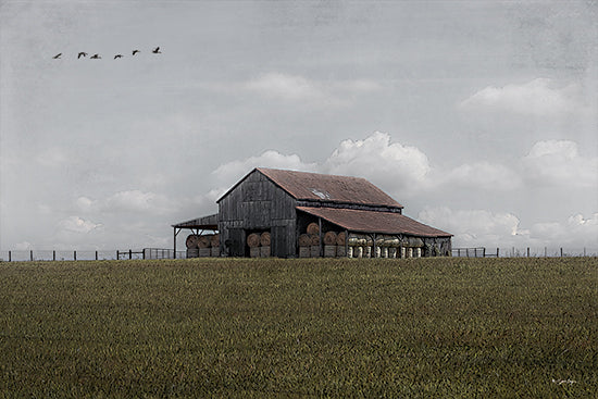 Susie Boyer BOY795 - BOY795 - The Stories It Holds     - 18x12 farm barn, hay bales, agricultural storage, rustic countryside, open field, blue sky, rural lifestyle, vintage farming from Penny Lane