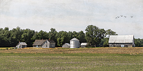 Susie Boyer BOY796 - BOY796 - South Folk Farm      - 18x9 farmstead, barns, silos, rural buildings, agricultural scene, trees in background, countryside living, vintage homestead from Penny Lane