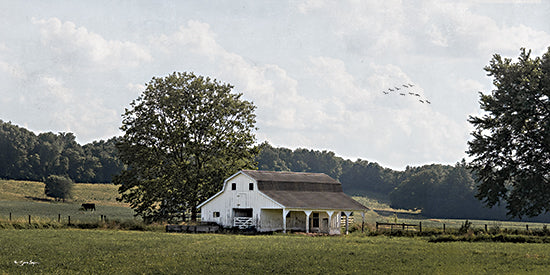 Susie Boyer BOY800 - BOY800 - Lost Branch Farm     - 18x9 white barn, countryside, open field, rural scenery, cows grazing, trees, nature background, farm life from Penny Lane
