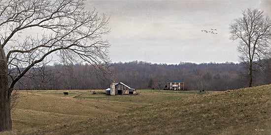 Susie Boyer BOY812 - BOY812 - Cane Run Farm - 18x9 pastoral landscape, rural countryside, rolling pasture, farmhouse, barn, silo, distant brick house, leafless trees, bare branches, winter field, muted tones, cloudy sky, horizon line, birds in flight, serene, Americana, farm scene, open meadow, rustic, nature, country living, wide angle from Penny Lane