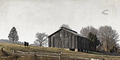 BOY813 - River Country Barn - 18x9