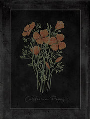 CIN4362 - Poppy Botanical on Black - 12x16