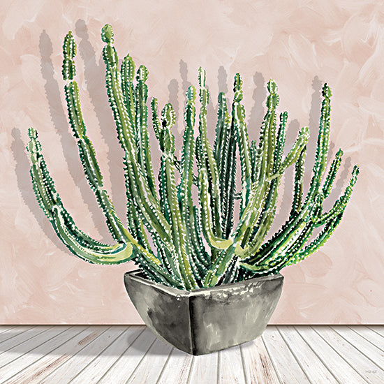 Cindy Jacobs CIN4433 - CIN4433 - Prickly Potted Cactus - 12x12 cactus plant, green succulent, pink background, black ceramic pot, botanical illustration, indoor greenery, desert plant from Penny Lane