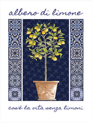 CIN4444 - Albero di Limone - 12x16
