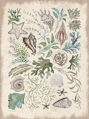 CIN4506 - Treasures of the Tide I - 12x16