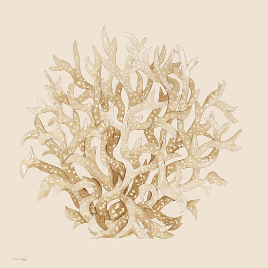 Cindy Jacobs CIN4515 - CIN4515 - Pale Coral Portrait II - 12x12 watercolor coral branch; neutral tan coastal art; ocean reef botanical; branching coral study; beach cottage decor; marine natural history style; soft beige background; organic sea life form; minimalist seaside illustration; decorative coastal print; calm neutral palette; painterly coral silhouette from Penny Lane