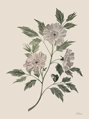 CTD151 - Wild Rose     - 12x16