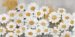 CTD160 - Daisy Field    - 18x9