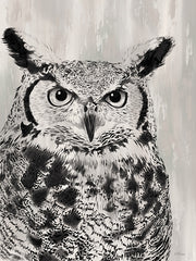 CTD310 - Charcoal Owl   - 12x16