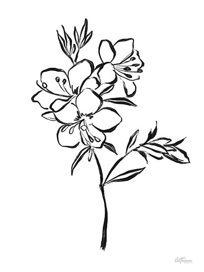 Cat Thurman Designs CTD447 - CTD447 - Loose Stem 1 - 12x18 black and white line drawing, single flower sketch, minimalist botanical art, pen and ink flower, simple floral illustration, monochrome decor from Penny Lane