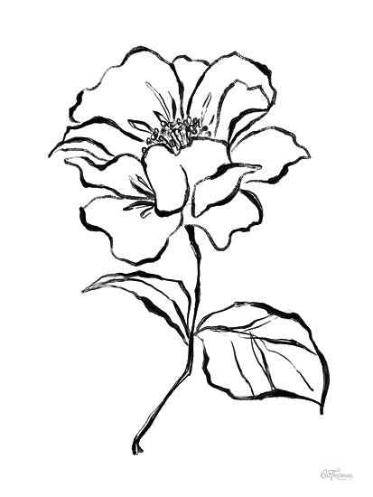 Cat Thurman Designs CTD448 - CTD448 - Loose Stem 2 - 12x18 black and white flower drawing, sketch style, minimalistic botanical line art, contemporary floral design, elegant simplicity, ink art from Penny Lane