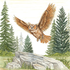 DS2406 - Owl in Forest - 12x12