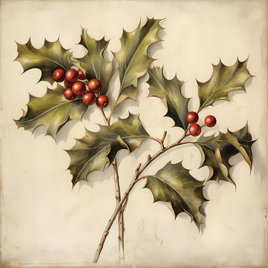 Heidi Kuntz HK347 - HK347 - Holly Sprigs   - 12x12 Christmas, Holidays, Holly, Berries, Holly Sprigs from Penny Lane